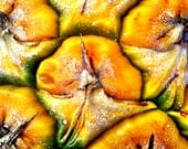 Juicy Pineapple - Photo Magnet