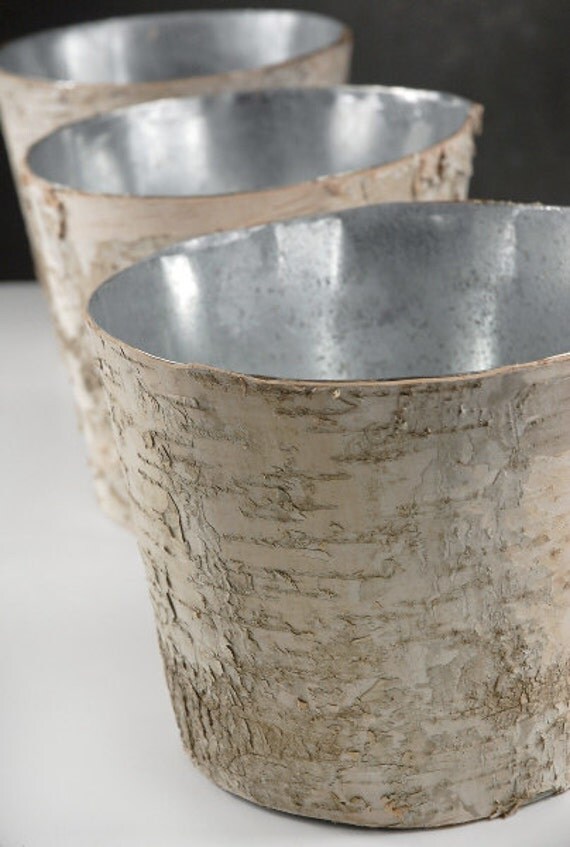 Birch Bark Vase Large Rustic Vase Wood Wrapped Planter Wedding