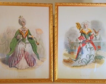 2 JJ Grandville "Les Fleurs Animees" Steel Engravings by Ch Geoffroy Prints Tulipe & Oeillet Framed prints from 1800's
