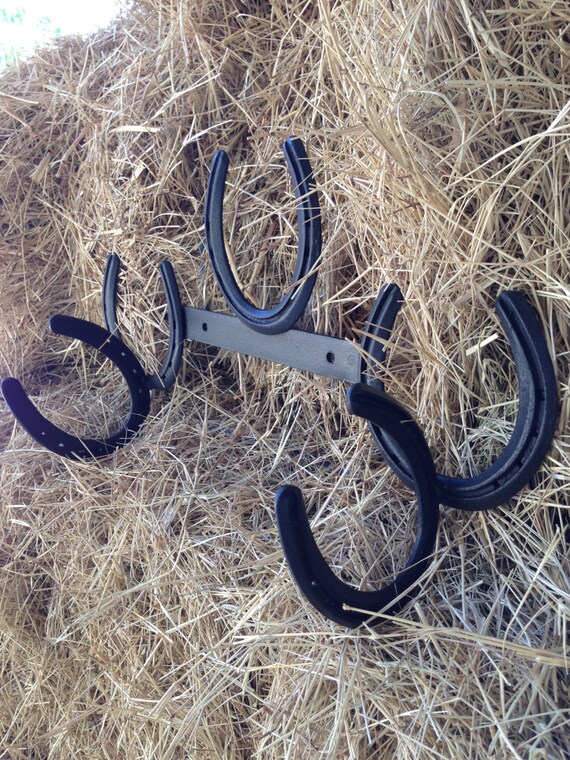Horseshoe tack holder made out of recycled . Horseshoe decor.