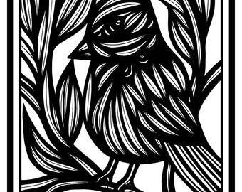 Nature Art Wildlife Black and White Bird Outdoors Animal Fine Art ...