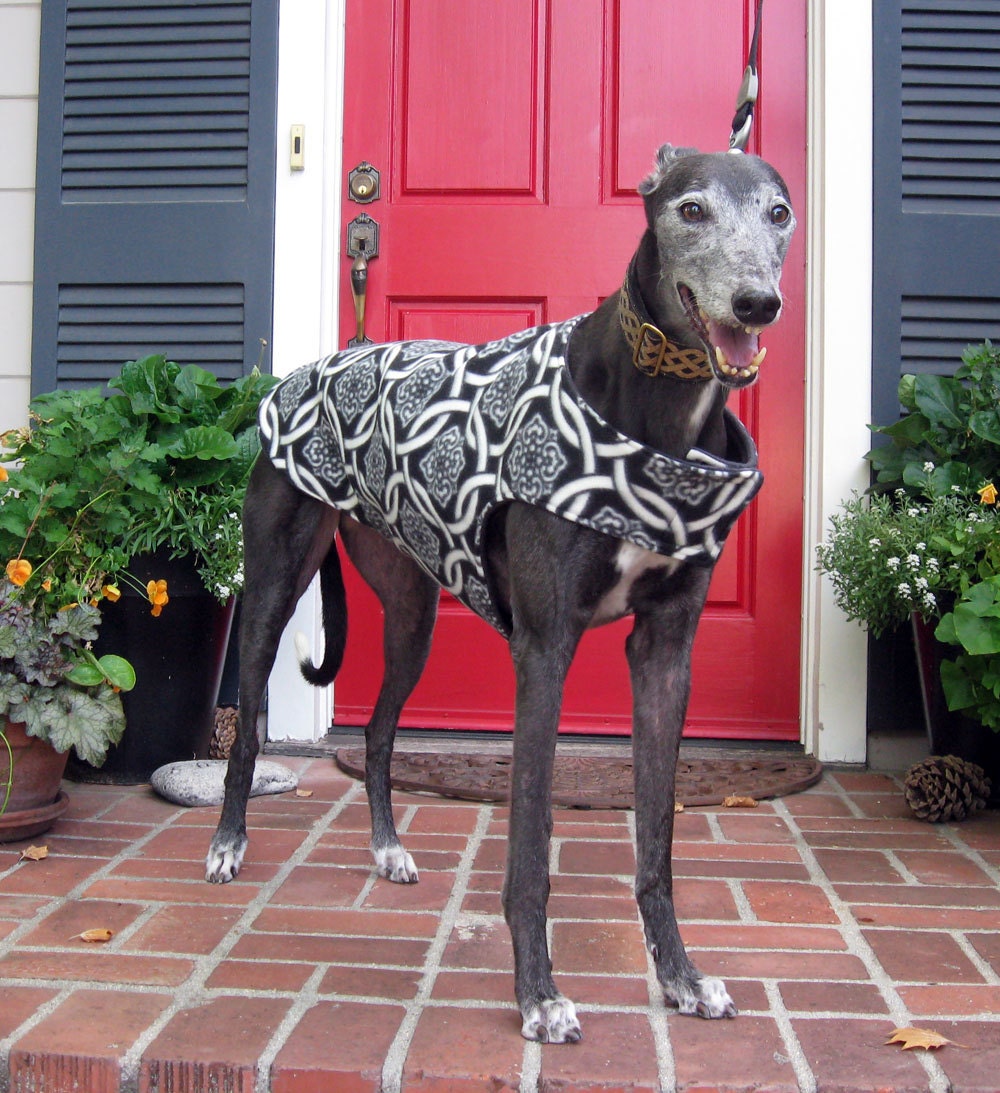 Custom Greyhound Dog Coat & Jacket XL Dog Coat Sighthound