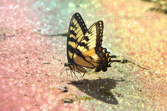 Fine Art PRINT Butterfly Oasis Series #5 " Sparkling Sands " Rainbow Glitter Beachy Nature Photography Love Beach Summer Home Decor Wall Art