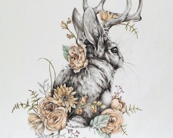 Jackalope - 11 x 14 floral jackalope rabbit art print