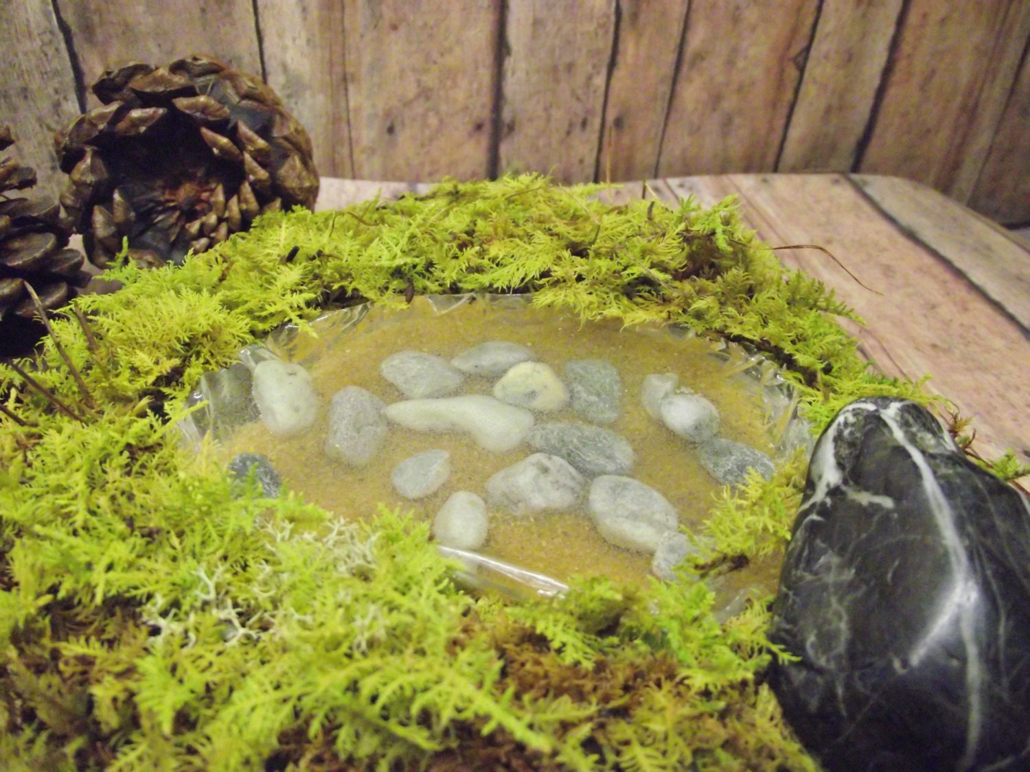 Miniature Pond for your Terrarium Unique Terrarium Accessory