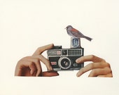 Bird Photographer.  Limited edition print of an original collage by Vivienne Strauss.