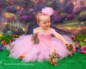 princess aurora tutu