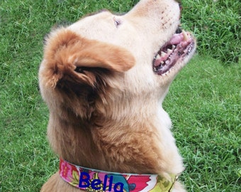 Monogrammed Dog Collar,personalized dog collar, beach dog collar
