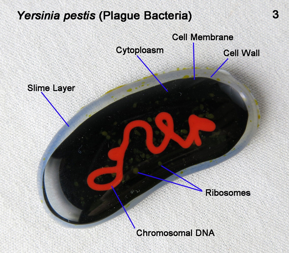 giant microbes plague