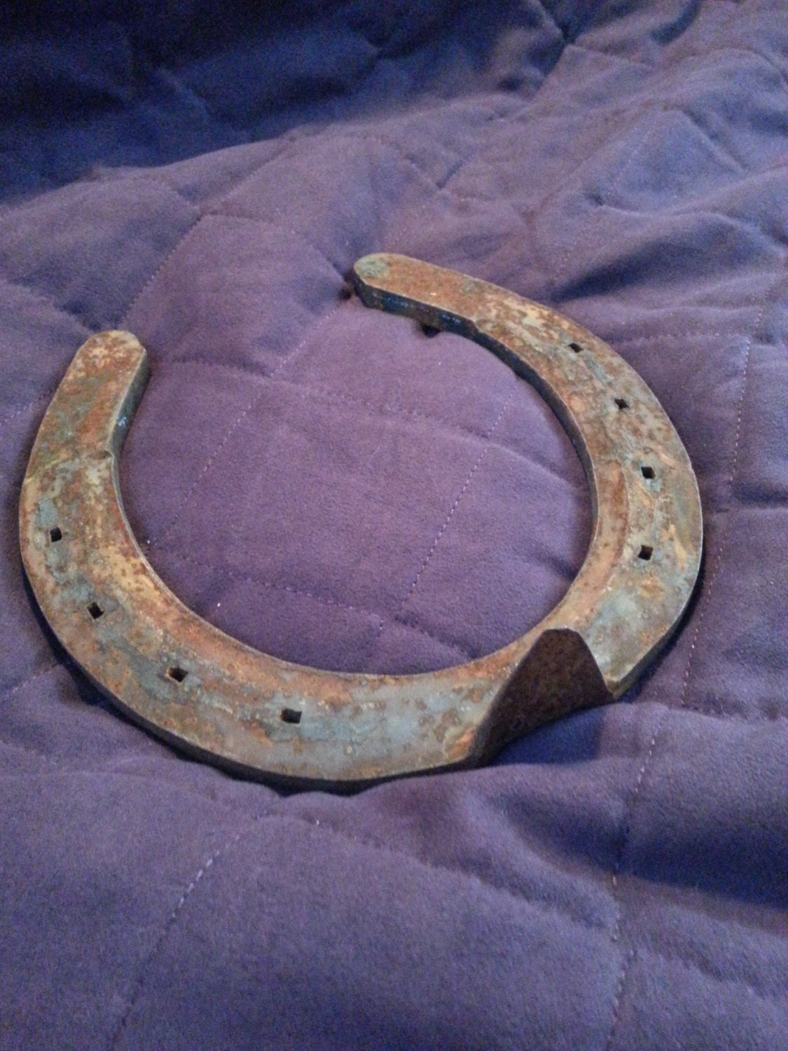 Vintage Antique Clydesdale Horseshoe Horse Shoe Rust Patina