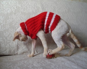 pug coat knitting pattern knitting patterns for pug coats knitting pattern pug coat knitting pattern knitting patterns for pug coats knitting pattern