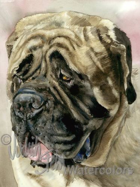 ENGLISH MASTIFF Dog Pet Portrait Watercolor Art Print by k9stein