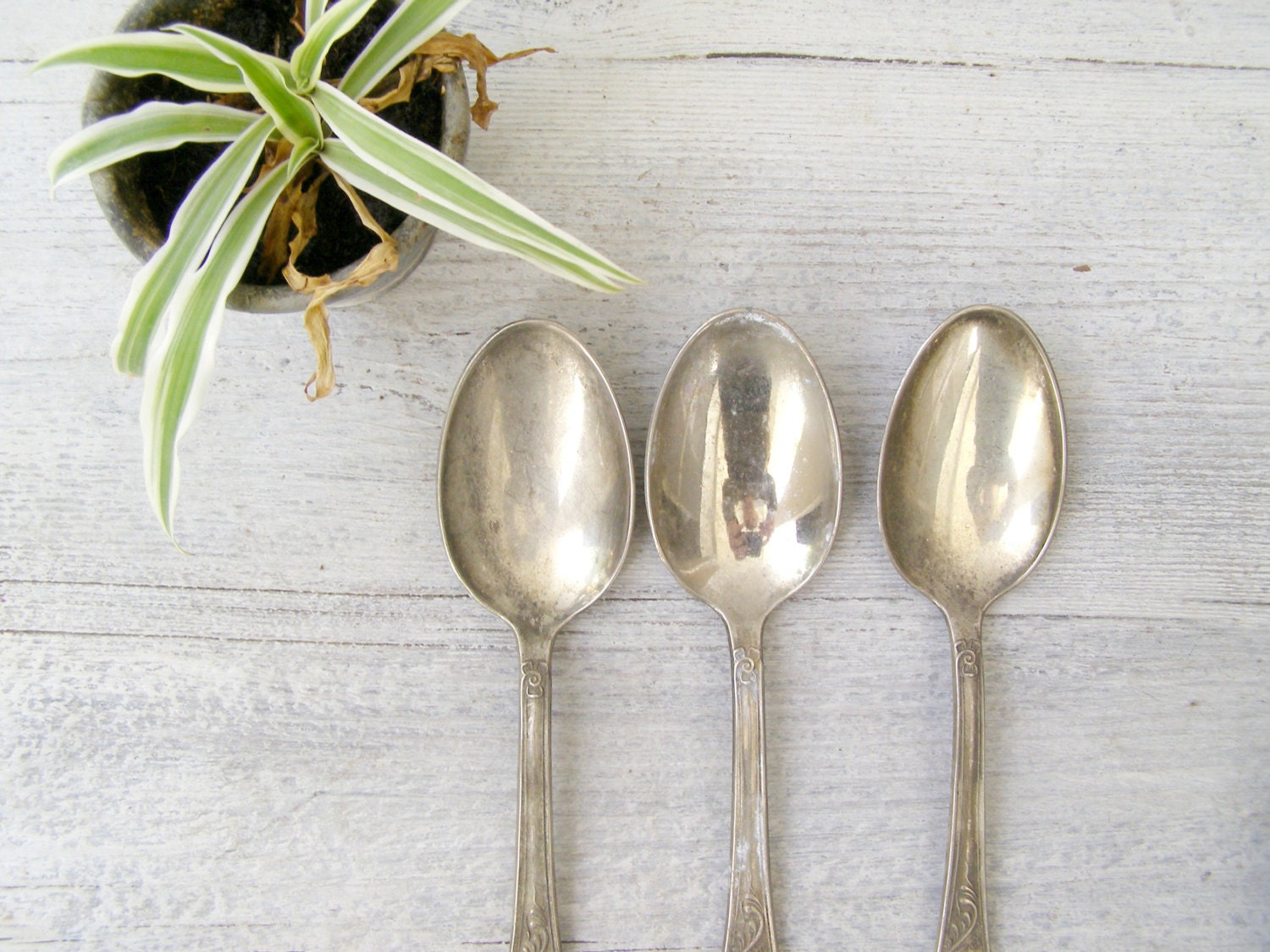 Antique Italian Silver 800 Serving Spoon Set of 3, Classic Victorian
