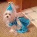 Princess Dog/Kitten Costume Size small includes hat