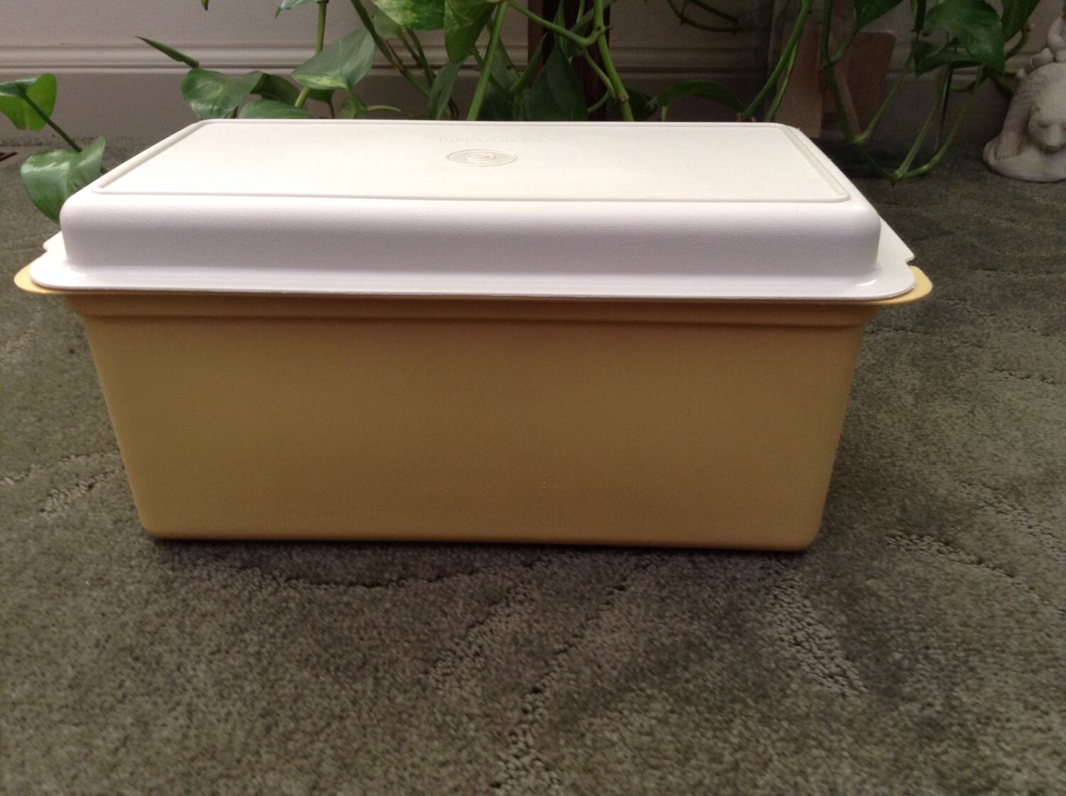 Vintage Tupperware Bread Keeper