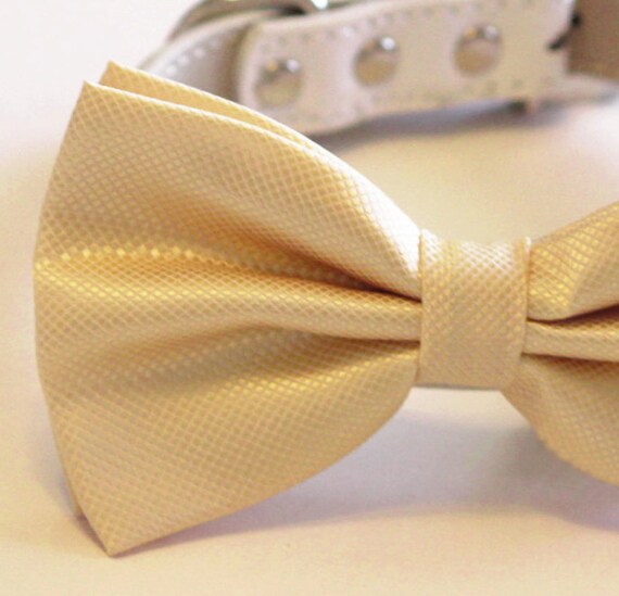 Ivory Wedding Dog Bow Tie Ivory Wedding idea Pet by LADogStore