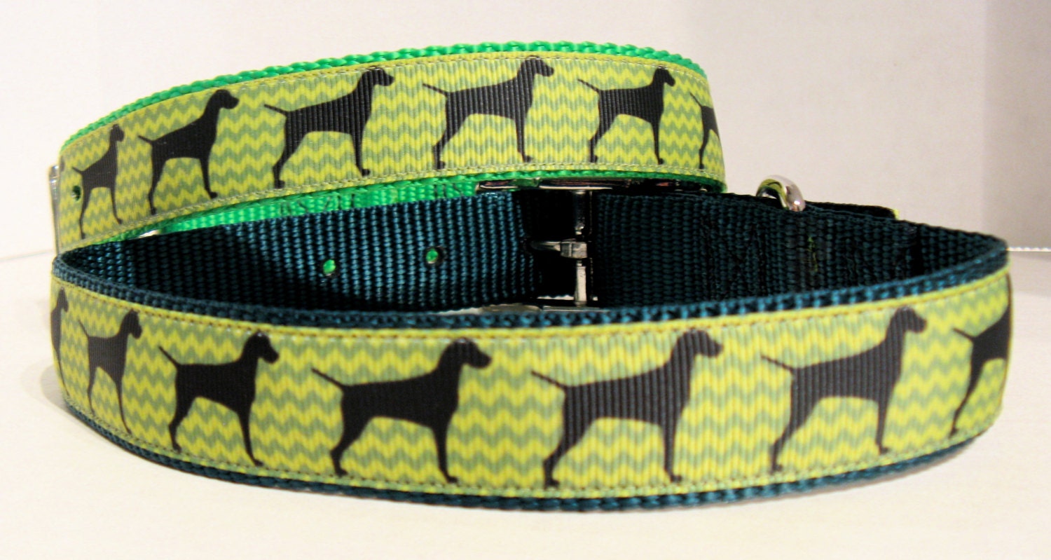 Vizsla Chevron Ribbon Dog Collar Hungarian Hunter