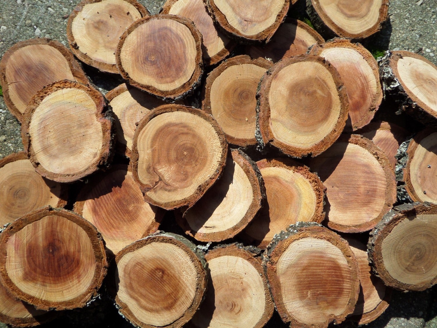Fette di legno fatti a mano mosaico e artigianato di codettisupply