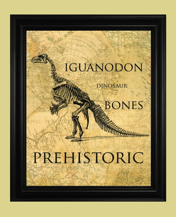 iguanodon bones