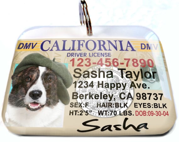 California driver license Old Personalized Custom ID Tags for dogs and cats Double Sided pet tags