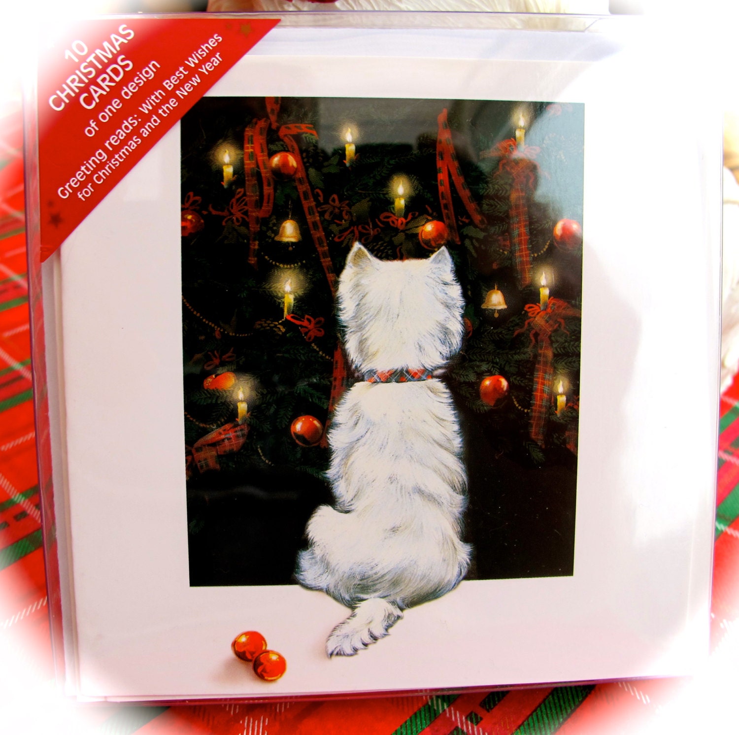 10 Westie Christmas Cards Christmas Lights by Pollyanna