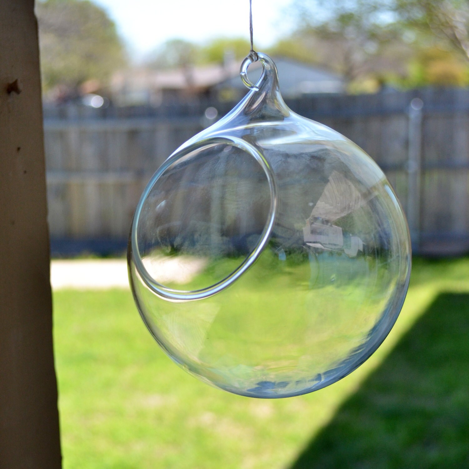 Hanging Round Glass Terrarium 12 CM / 4.75 Inches by RedNWhite