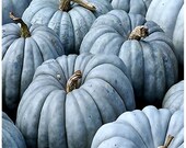 Jarrahdale Blue Pumpkin, Cucurbita maxima Seeds - FRESH RARE Australian blue-grey skinned Pumpkin