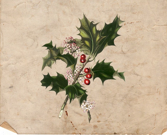 Digital Christmas Color Illustration - Antique Vintage Christmas Holly - Mistletoe Christmas - Digital Holly Illustration INSTANT DOWNLOAD