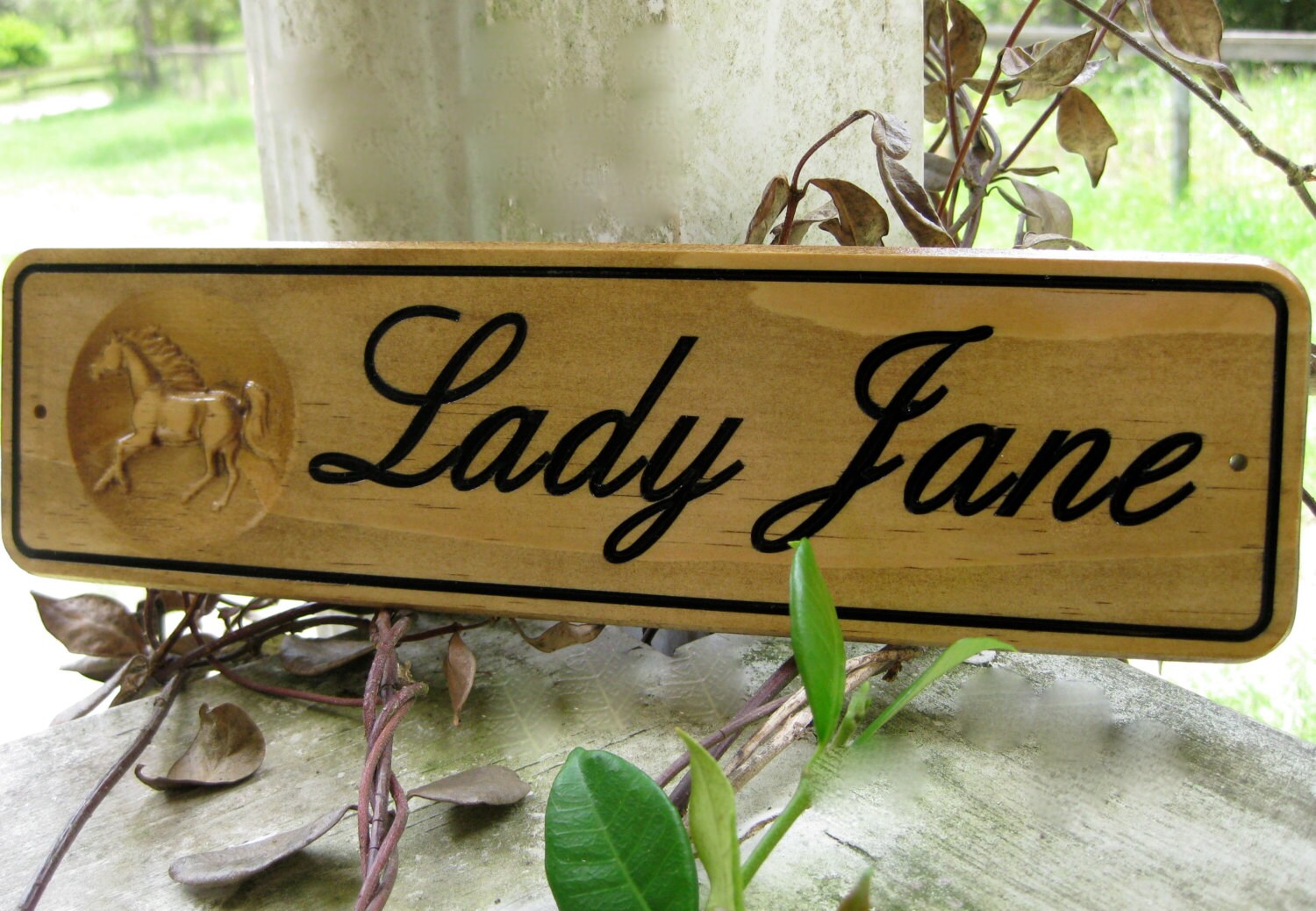 Horse Name Stall Sign Custom Wood Carved Horse Barn Door Name