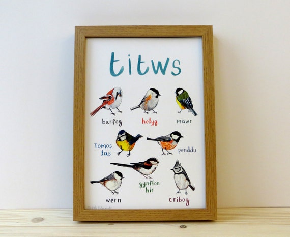 uk listing titws print a welsh birds humour cheeky uk listing titws print a welsh birds humour cheeky