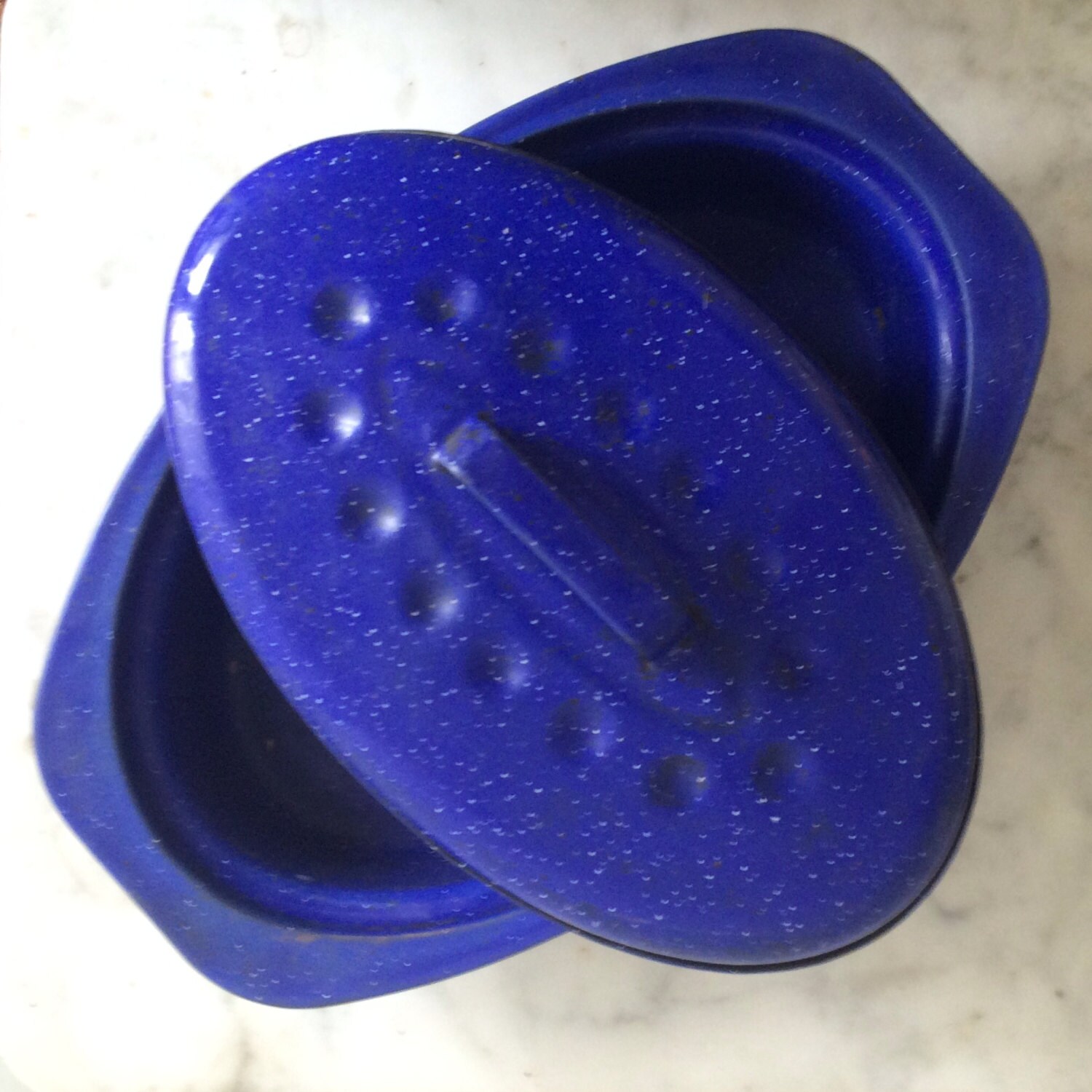 French vintage blue enamel roasting pan