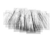 Roots & Branches No. 3 - nature photography, nature art, tree branches, tree photography, art collage, black and white, tree silhouette