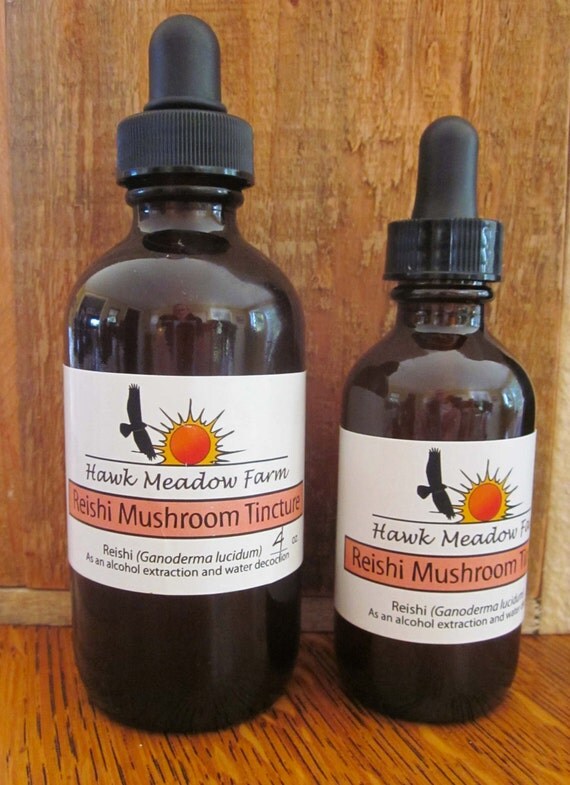 Reishi Mushroom Medicinal Tincture 2oz or 4oz by HawkMeadowFarm