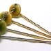 4 Vintage Art Deco Pastel Green Amber Ombre RHINESTONE CELLULOID HAIRPINS