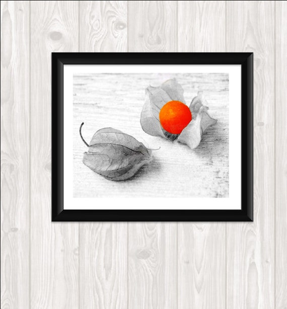 Print Your Own Fine Art Orange Caped Gooseberry Photo Fine Art Food Photography Kitchen Art Home Decor Wall Art  8x10 Chinese Lantern Autumn