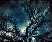 Abstract Art Photography of the Starry Night Sky â€¢ Large Wall Art 16x20 20x30 Print or Canvas in Teal Blue, Black, and White.