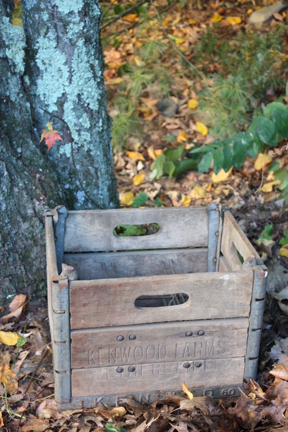 SALE Antique Wooden Milk Crate Kenwood Farms Wethersfield