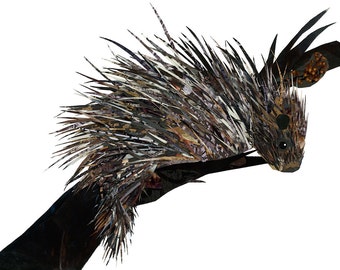 Porcupine 8.5 x 11 Print of Original Collage