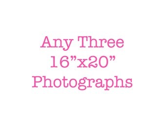 12x16 inch photo print near me 12x16 inch photo print near me