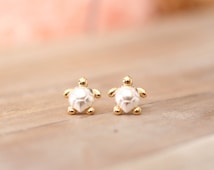 Haze Tortoise Shell Earrings in Silver