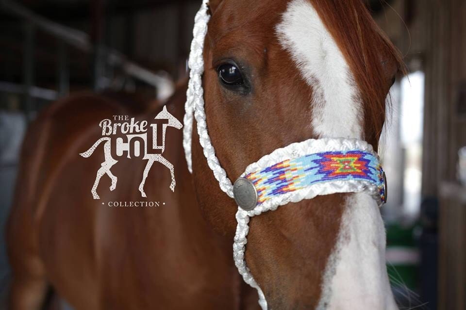 Beaded Horse Mule Tape Halter Made To Order by TheBrokeColt