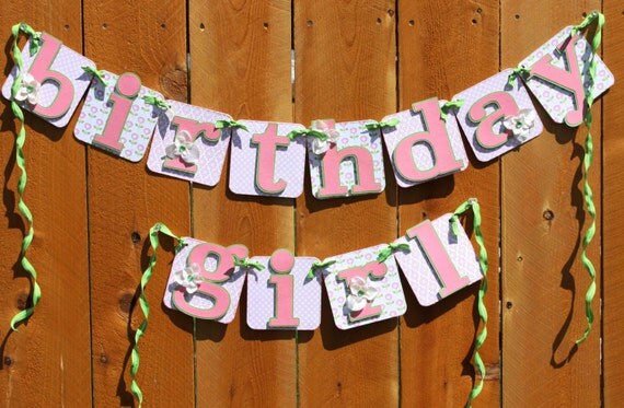 Pink Birthday Girl Party Banner Il_570xn