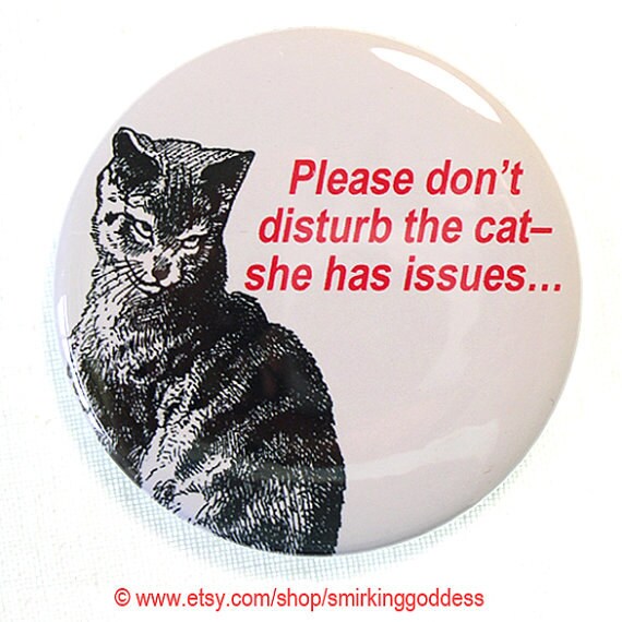 Funny Cat Fridge Magnet for All Ye Cat Lovers