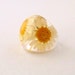 Daisy Resin Ring. Pressed Flower Resin Ring. White and Yellow Cocktail Ring. Handmade Jewelry with Real Flowers - Daisy