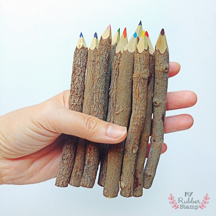 Twig Color Pencils 5 inch 10 Twig Color Pencils Bundle