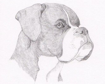 Boxer Note Cards - Gift Set of Eight - Free Shipping US - Original Pencil Art Design - Desert Impressions