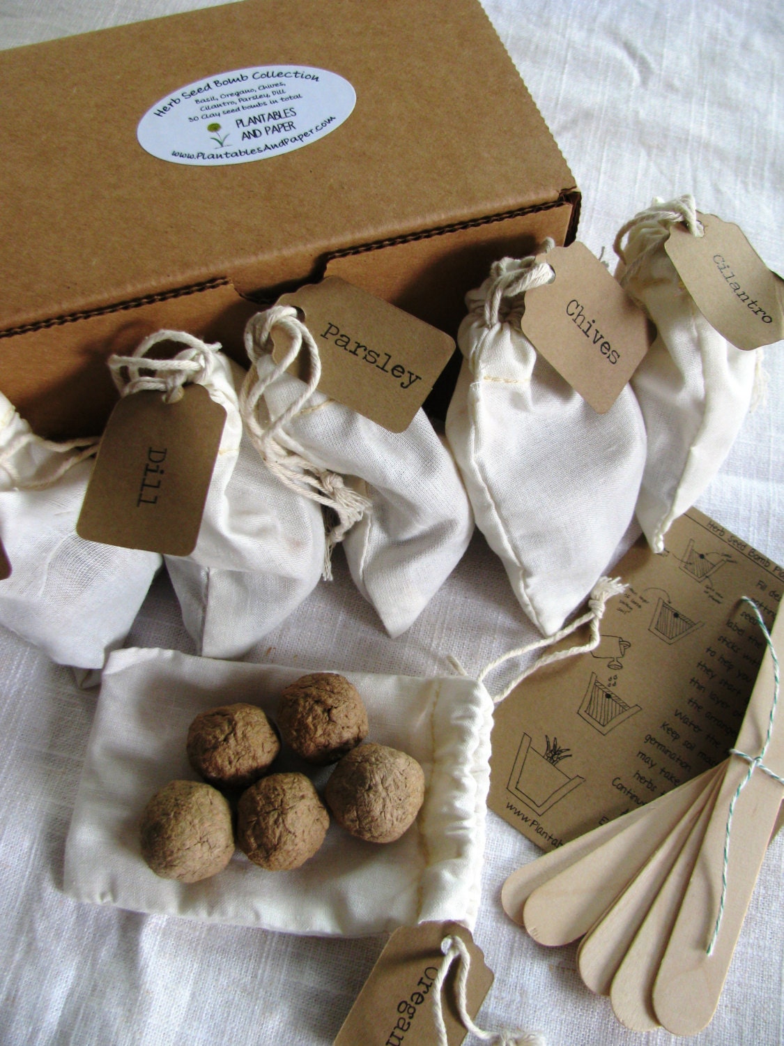 Herb Garden Seed bomb kit READY TO SHIP 6 different