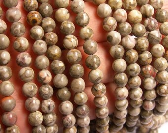 Fossil Jasper - 6mm round beads -1 full strand - 61 beads - RFG1140