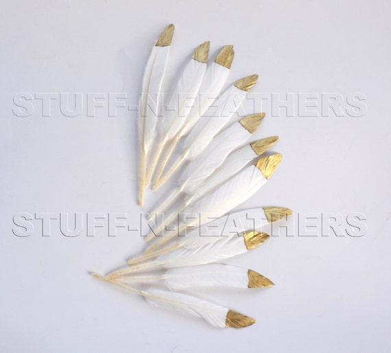 GOLD dipped natural white feathers - metallic gold hand painted duck ...