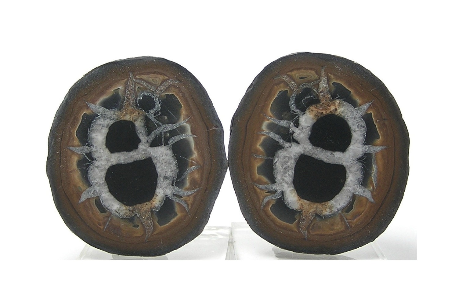 Septarian Ironstone Calcite Nodule Polished by FenderMinerals